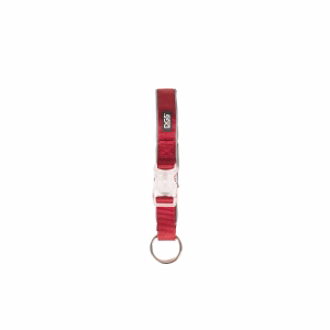 Collar para Perro DGS Comet LED Rojo