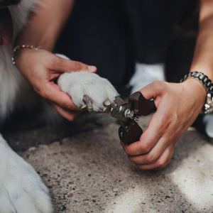 Cortaúñas Hunter SPA