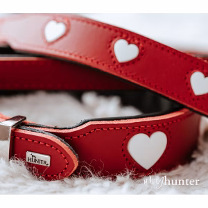 Collar para Perro Hunter Love Rojo XS (32)