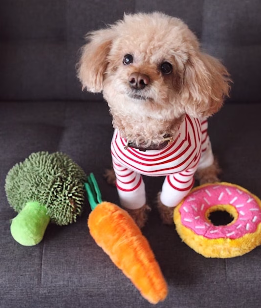 Limpieza y mantenimiento peluches