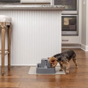 Fuente PetSafe Drinkwell 1.8 L