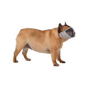 Bozal Hocico Corto Gris Trixie