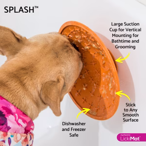 Lickimat Splash