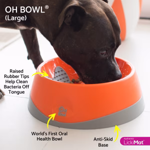 Lickimat OH Bowl