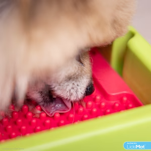 Lickimat Mini Soother