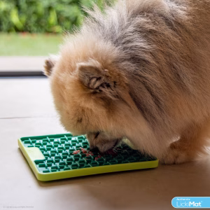 Lickimat Mini TUFF Buddy