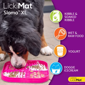 Lickimat XL Slomo