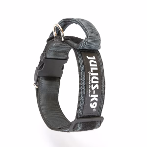 Color & Gray Julius K9