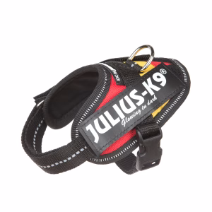 Julius K9 IDC Bandera España