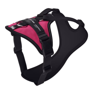 Julius K9 Longwalk Light