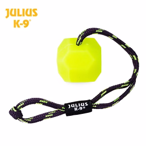 Pelota Fluorescente IDC Neon Julius K9