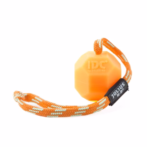 Pelota Fluorescente IDC Neon Julius K9
