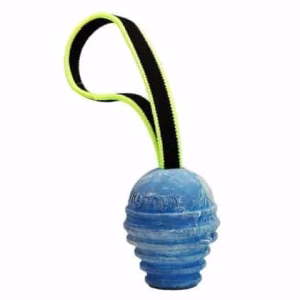 Pelota Antibacteria Duplay Julius K9