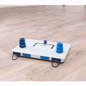 Trixie Juego Interactivo Move2Win