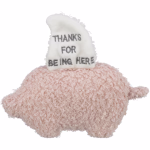 Trixie Junior Cerdito