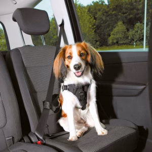 Trixie Arnés para Coche Dog Comfort