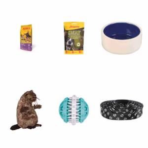 Pack Esencial de Inicio para Cachorros